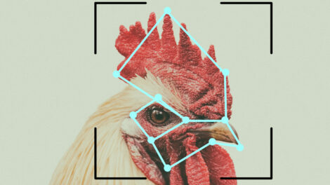 Facial Recognition Meets the Food Chain Image